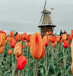 Amsterdam - Rennes en vol direct